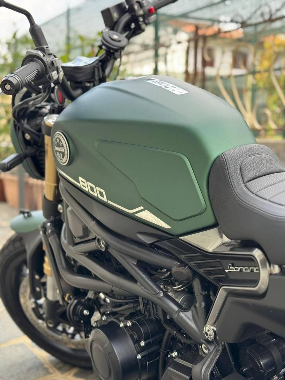 Benelli Leoncino 800 (2022 - 26) (7)