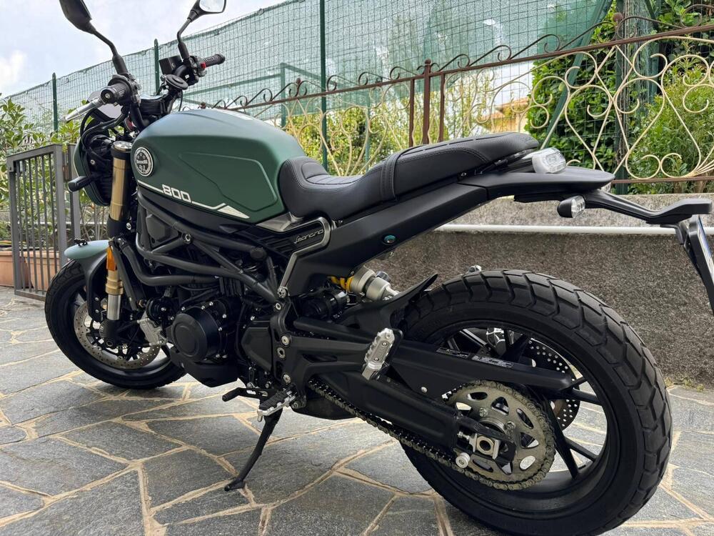 Benelli Leoncino 800 (2022 - 26) (8)