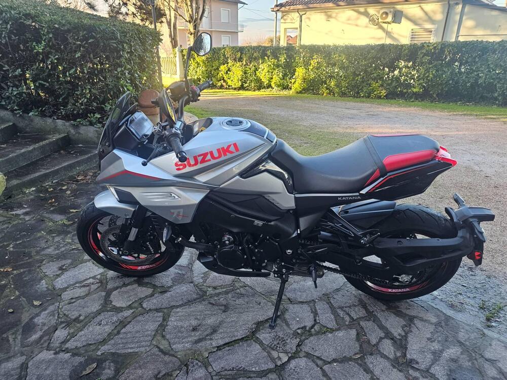 Suzuki Katana 1000 Jindachi (2019 - 20) (3)