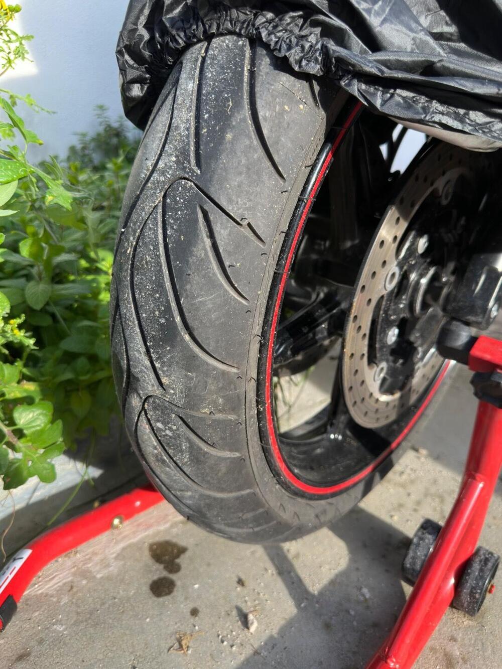 Suzuki Gladius 650 SFV (2009 - 15) (6)