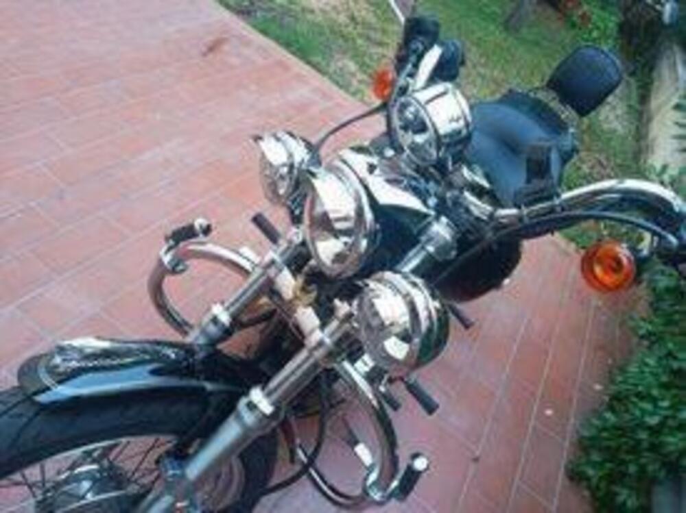 Harley-Davidson 1200 Low (2008 - 09) - XL 1200L (6)