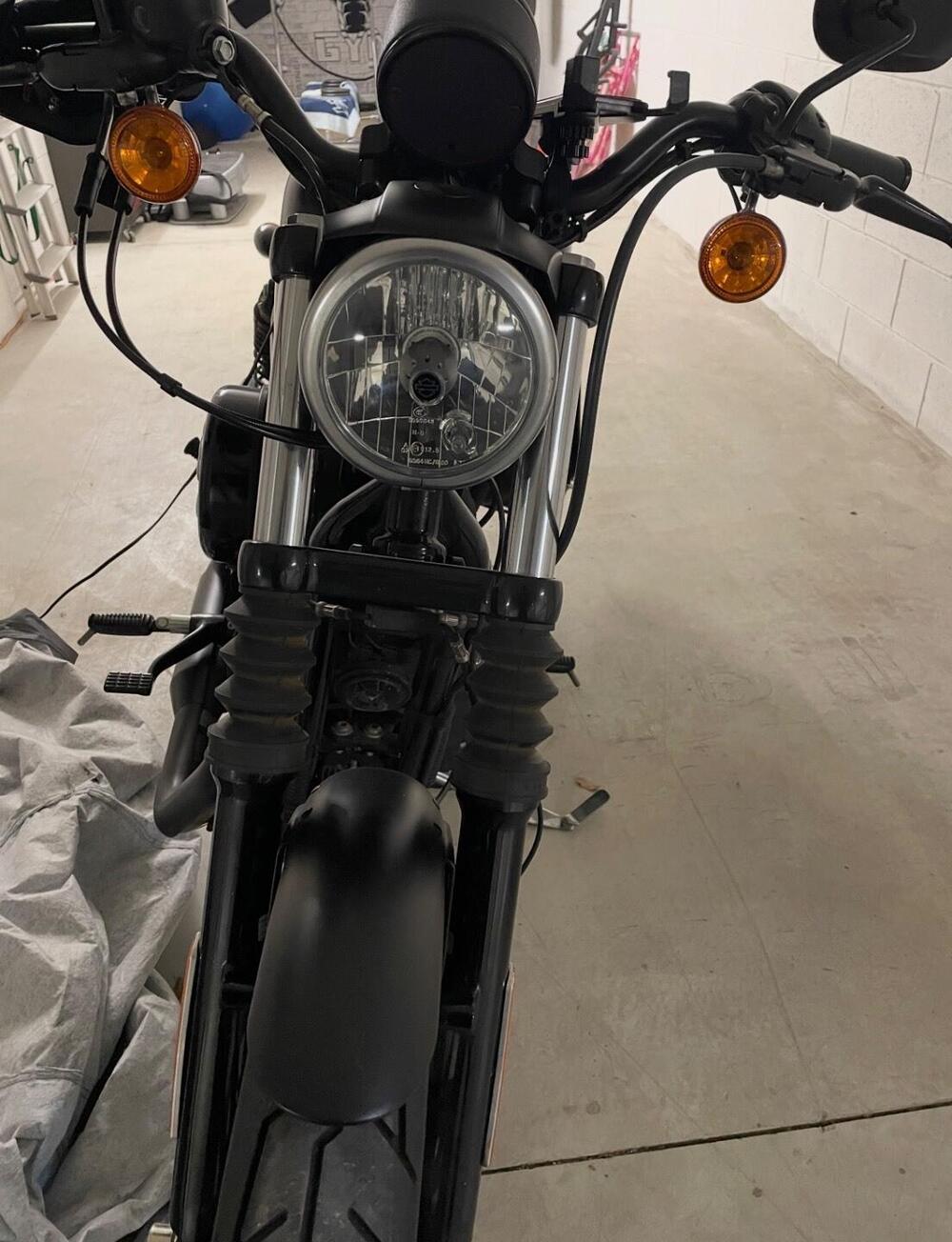 Harley-Davidson 883 Iron (2017 - 20) - XL 883N (2)