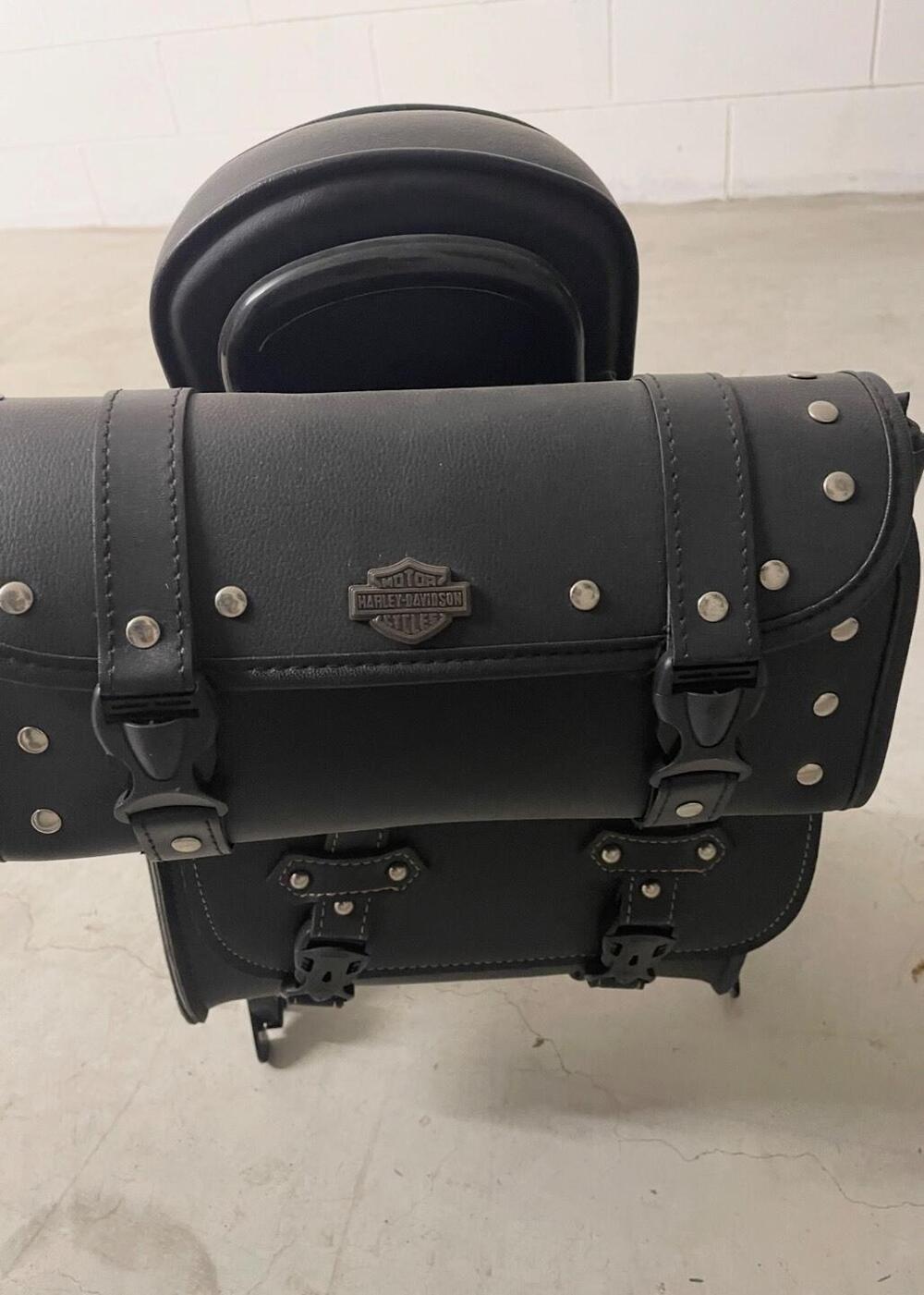 Harley-Davidson 883 Iron (2017 - 20) - XL 883N (3)