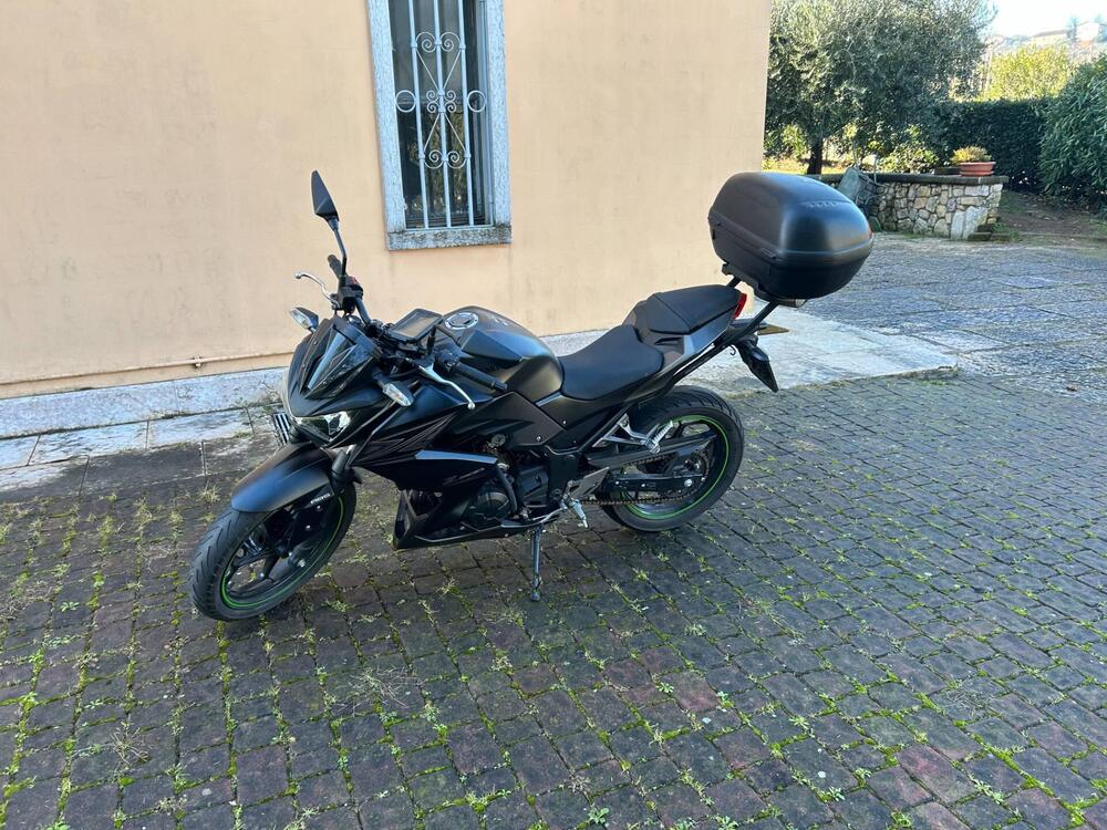 Kawasaki Z 300 ABS (2015 - 16)