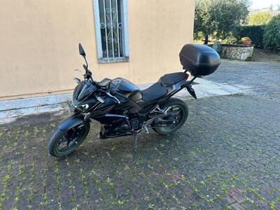 Kawasaki Z 300 ABS (2015 - 16) usata
