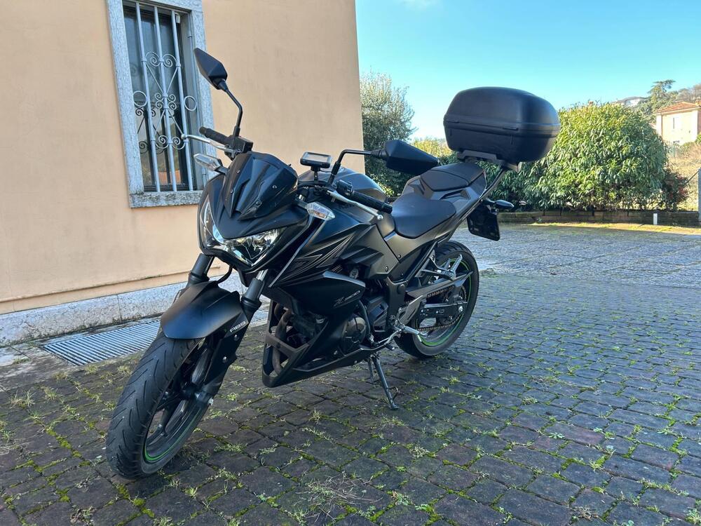 Kawasaki Z 300 ABS (2015 - 16) (2)