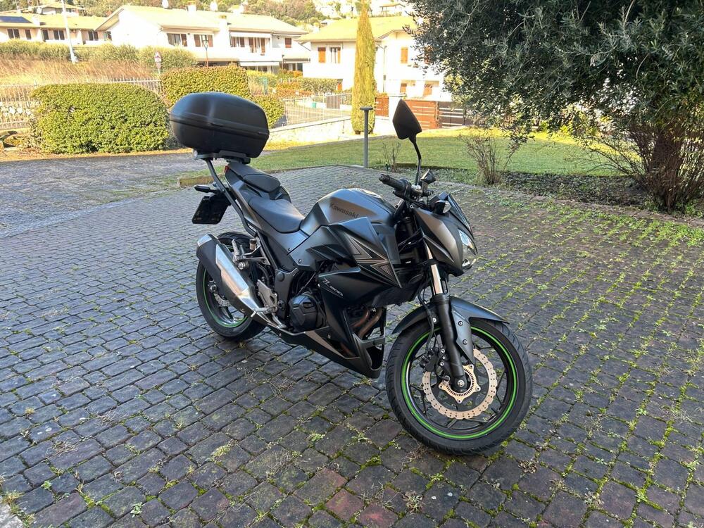 Kawasaki Z 300 ABS (2015 - 16) (3)