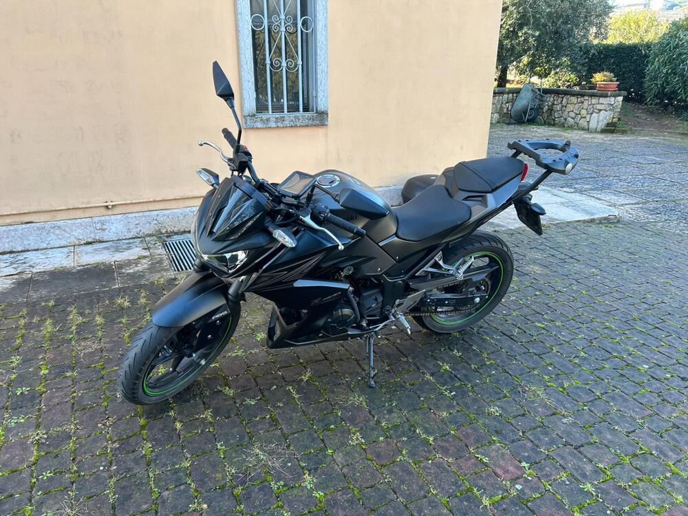 Kawasaki Z 300 ABS (2015 - 16) (6)