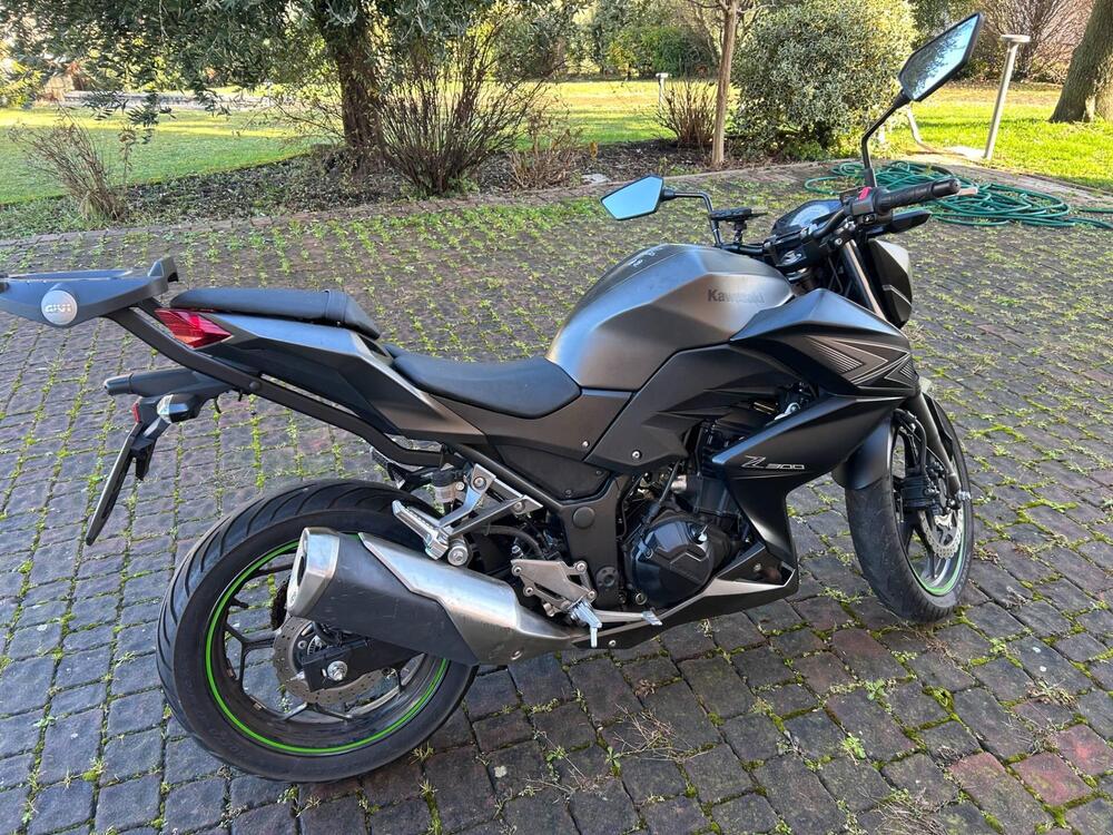 Kawasaki Z 300 ABS (2015 - 16) (7)