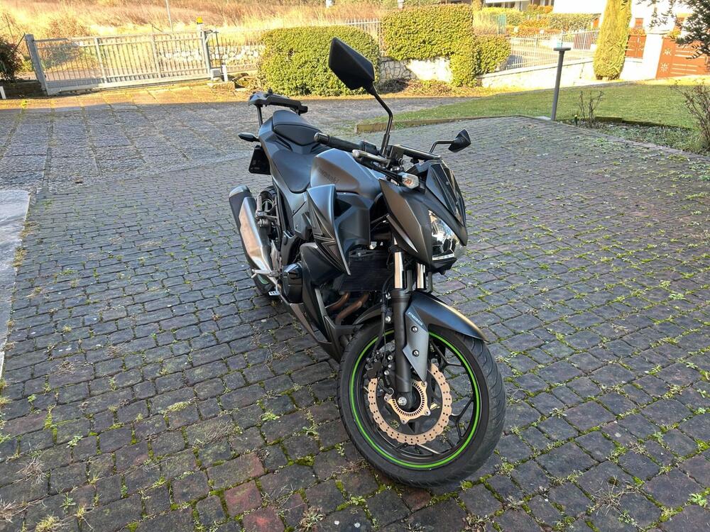 Kawasaki Z 300 ABS (2015 - 16) (8)