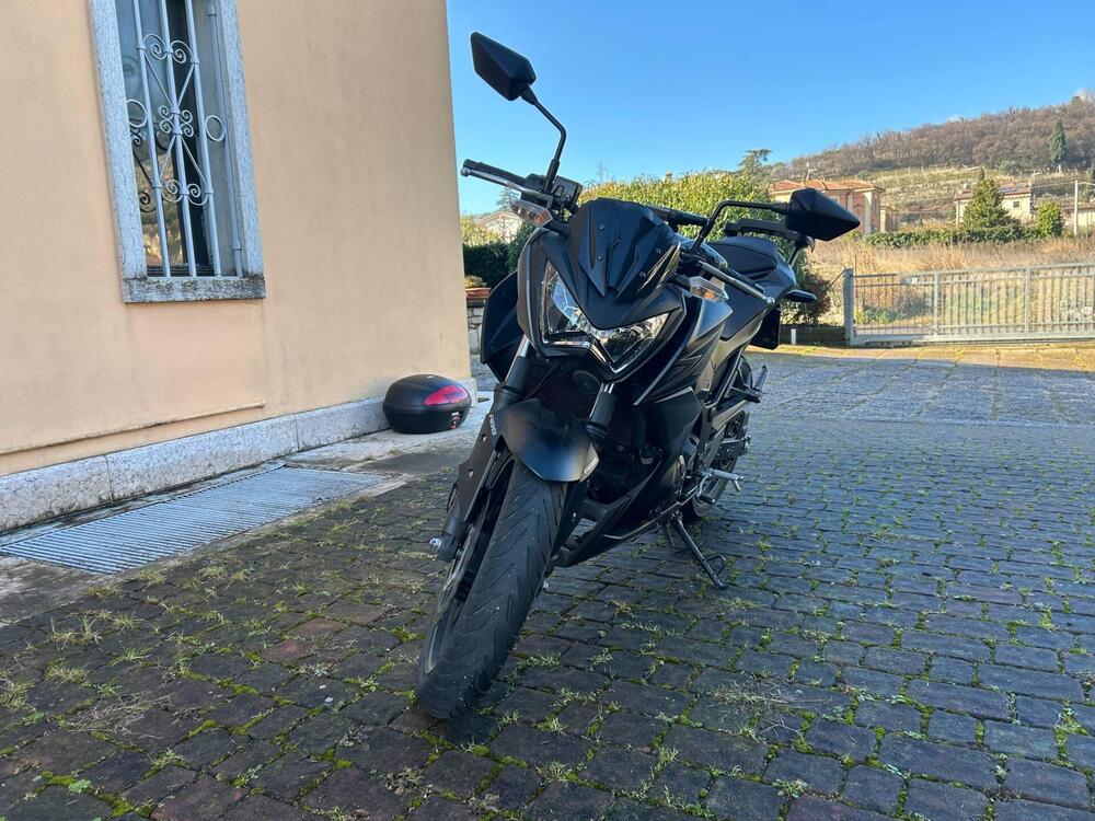 Kawasaki Z 300 ABS (2015 - 16) (9)