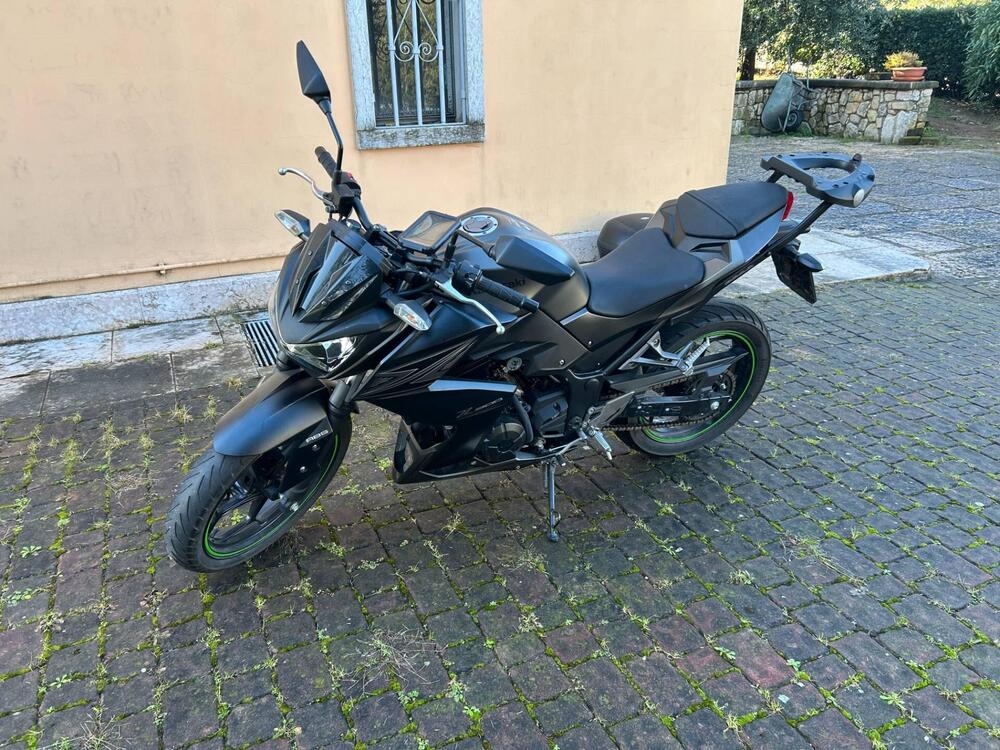 Kawasaki Z 300 ABS (2015 - 16) (10)