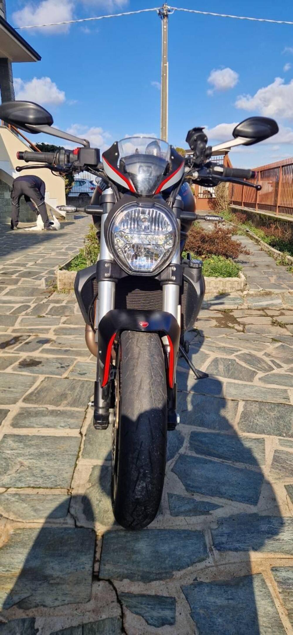 Ducati Monster 821 Stealth (2019 - 20) (3)