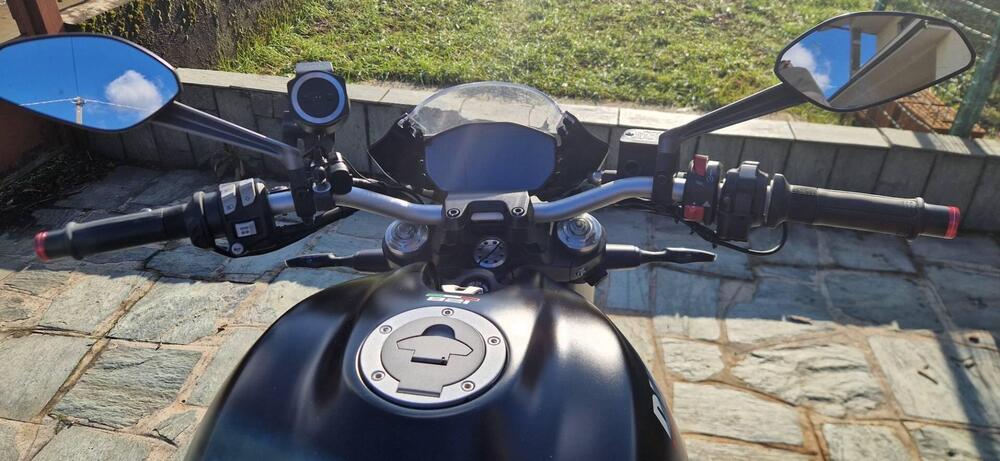 Ducati Monster 821 Stealth (2019 - 20) (5)