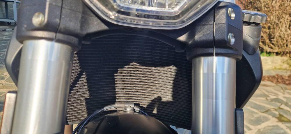 Ducati Monster 821 Stealth (2019 - 20) (14)