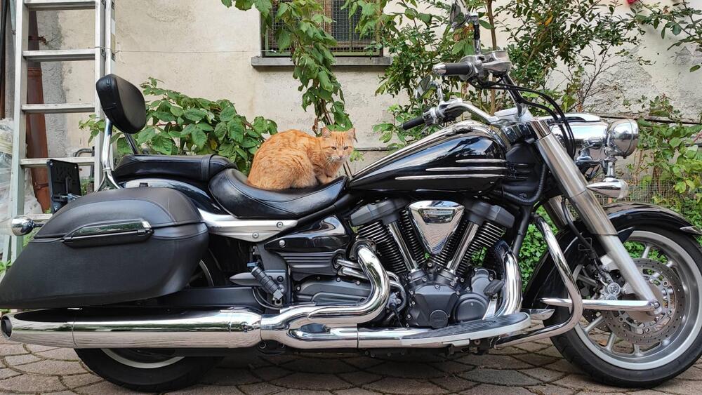 Yamaha XVS 1900 Midnight Star (2006 - 16) (3)