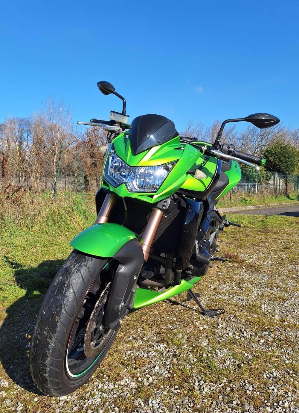 Kawasaki Z 750 R (2011 - 14) (3)