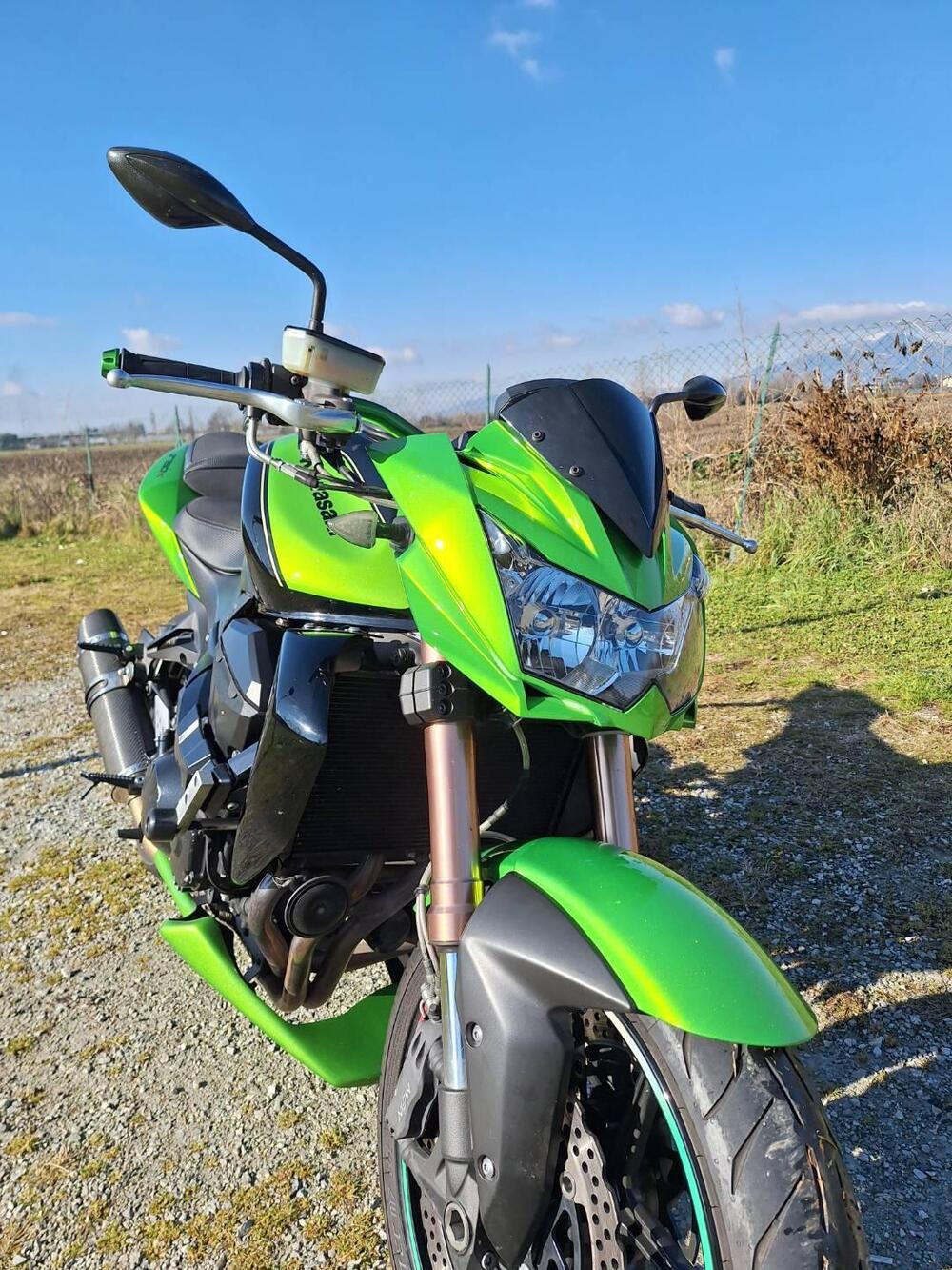 Kawasaki Z 750 R (2011 - 14) (8)