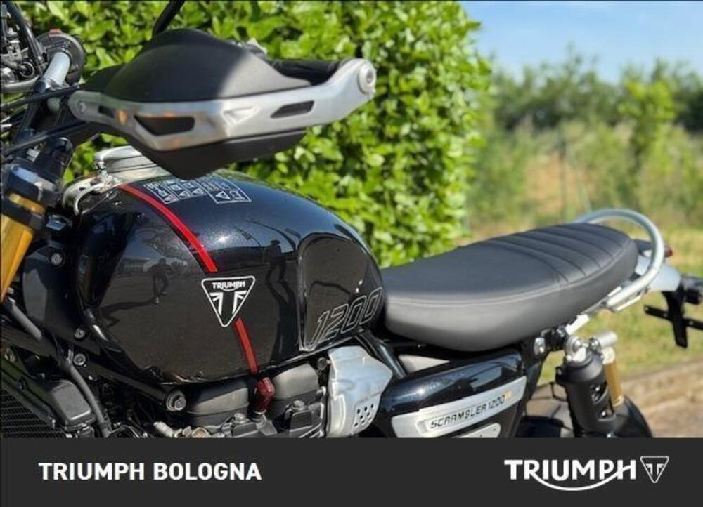 Triumph Scrambler 1200 XE (2024 - 25) (5)