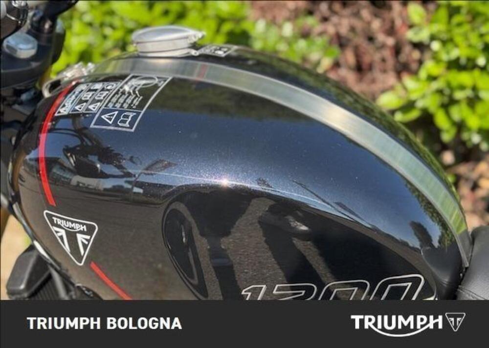 Triumph Scrambler 1200 XE (2024 - 25) (9)