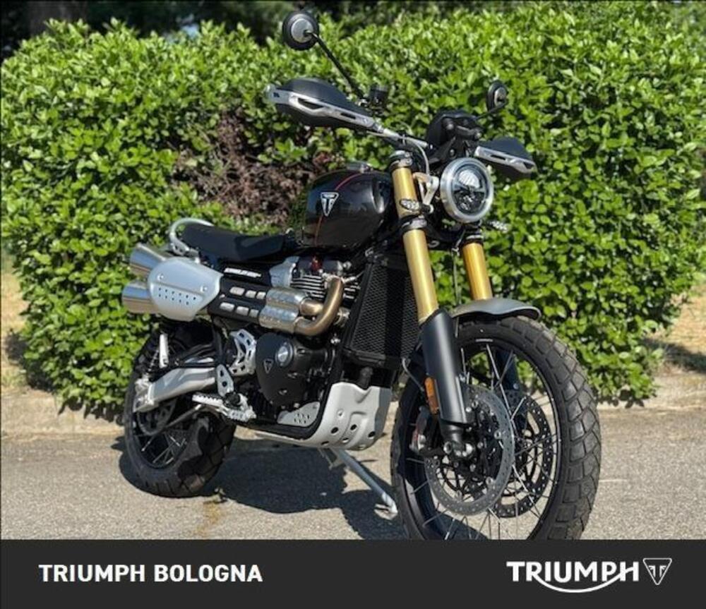 Triumph Scrambler 1200 XE (2024 - 25) (2)