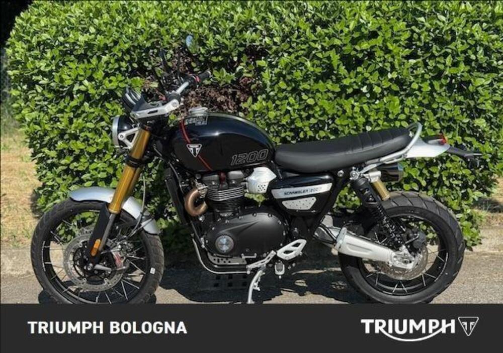 Triumph Scrambler 1200 XE (2024 - 25) (4)