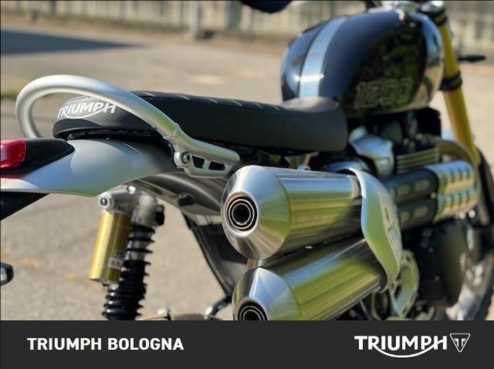 Triumph Scrambler 1200 XE (2024 - 25) (10)