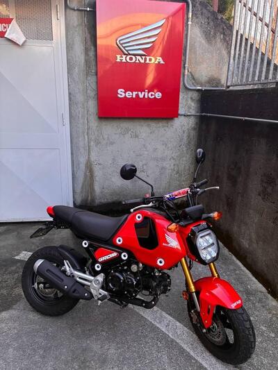 Honda MSX 125 Grom (2021 - 26) usata