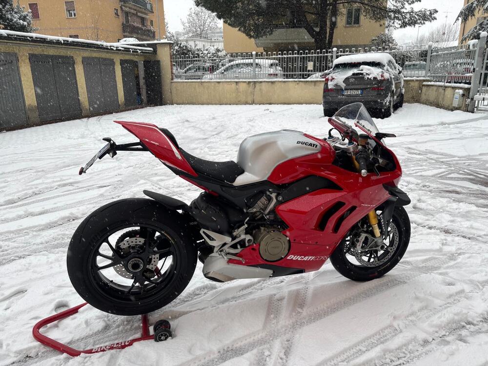 Ducati Panigale V4 S 1100 (2020) (2)