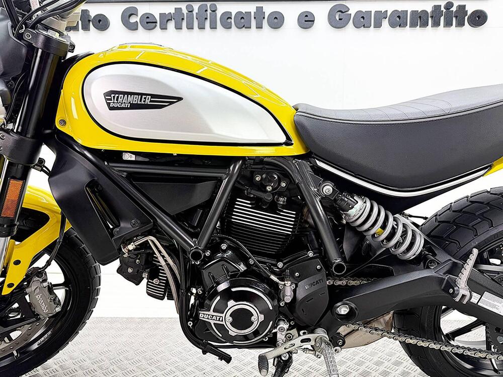 Ducati Scrambler 800 Icon (2023 - 24) (13)