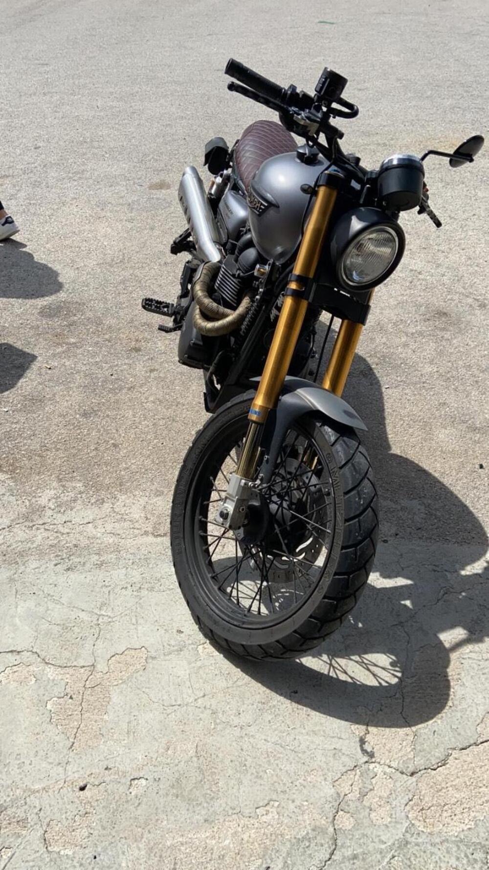 Triumph Scrambler 900 (2023 - 25) (3)