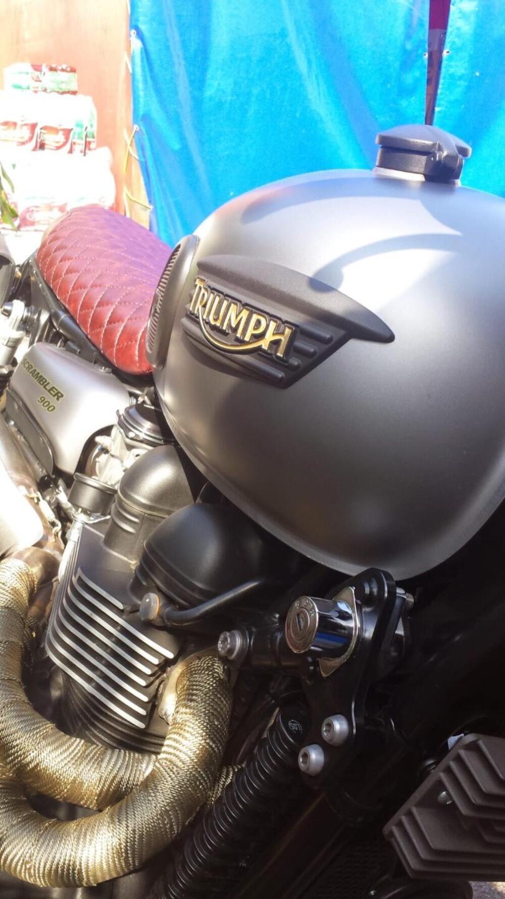 Triumph Scrambler 900 (2023 - 25) (4)