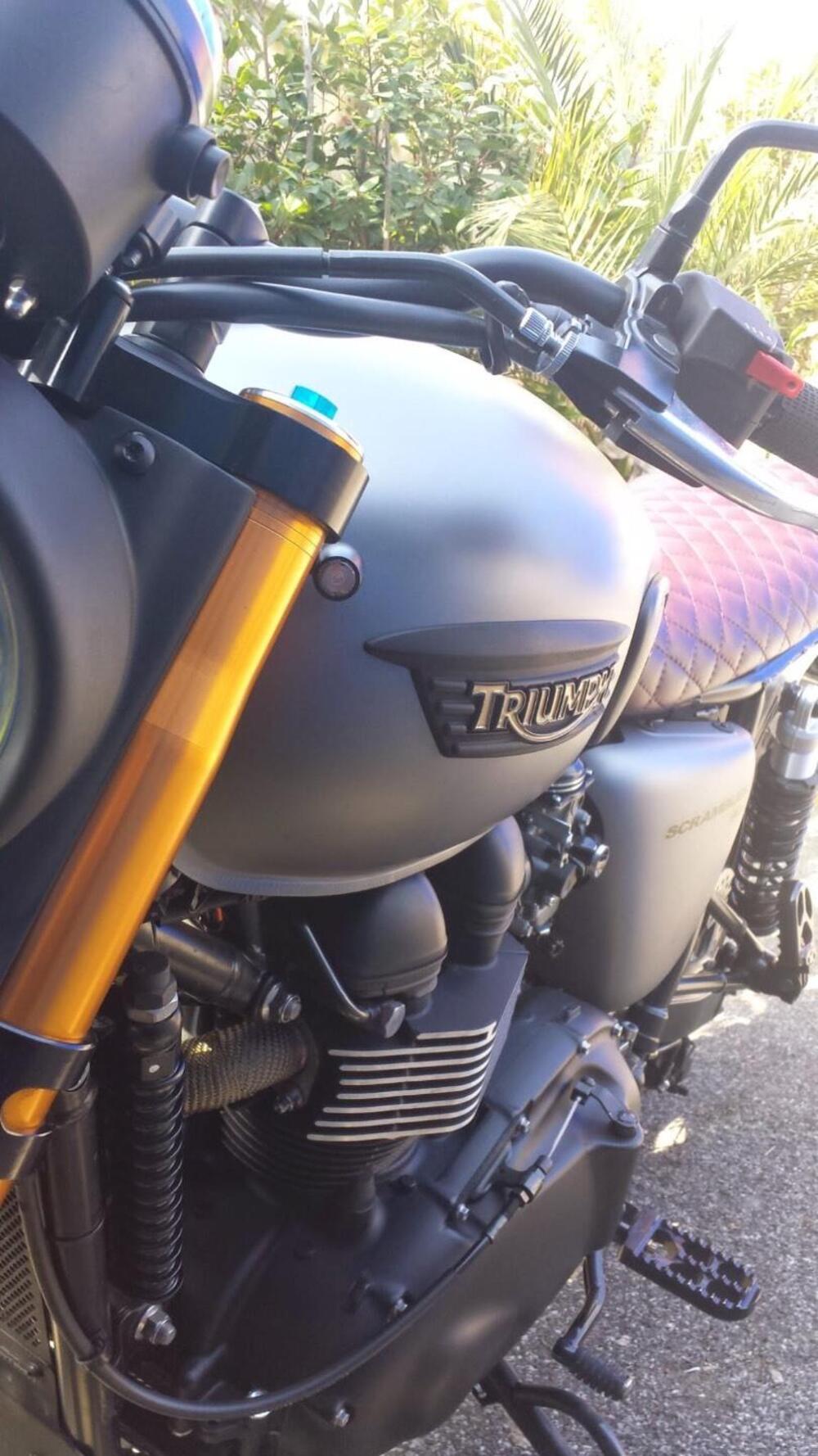 Triumph Scrambler 900 (2023 - 25) (5)