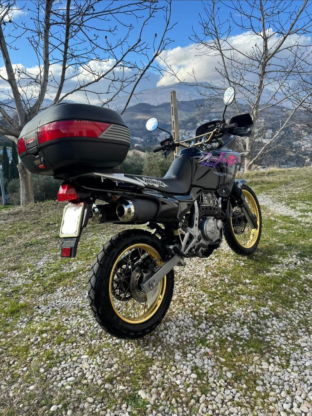 Honda NX 650 Dominator (1991 - 95) (6)