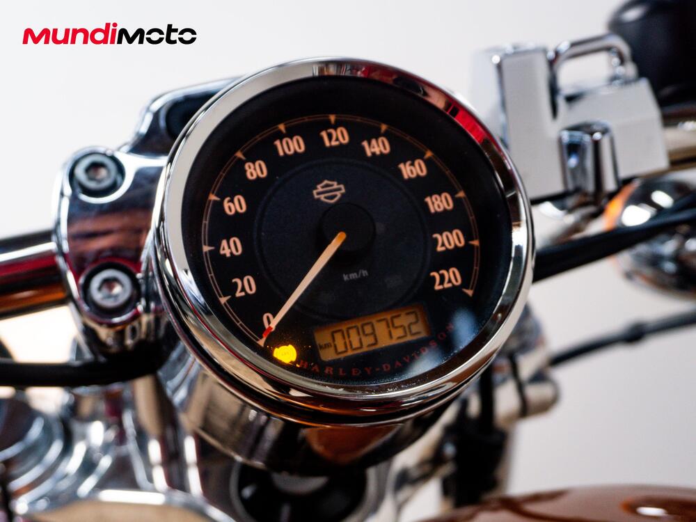 Harley-Davidson 1200 Custom ABS (2014 - 16) - XL 1200C (12)