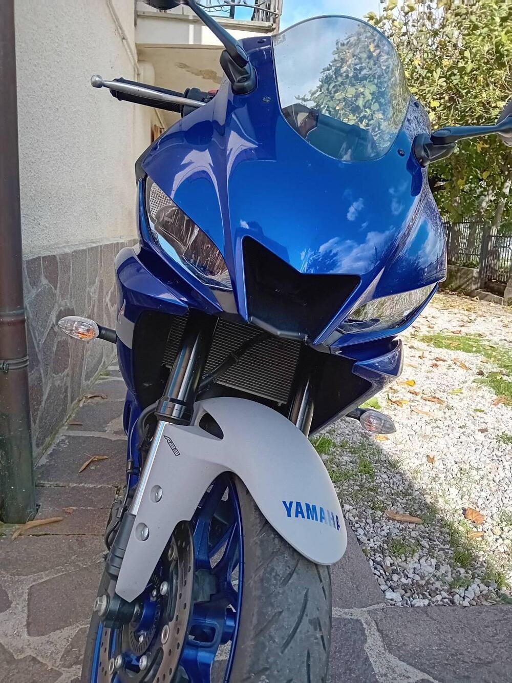 Yamaha YZF R3 (2019 - 20) (2)