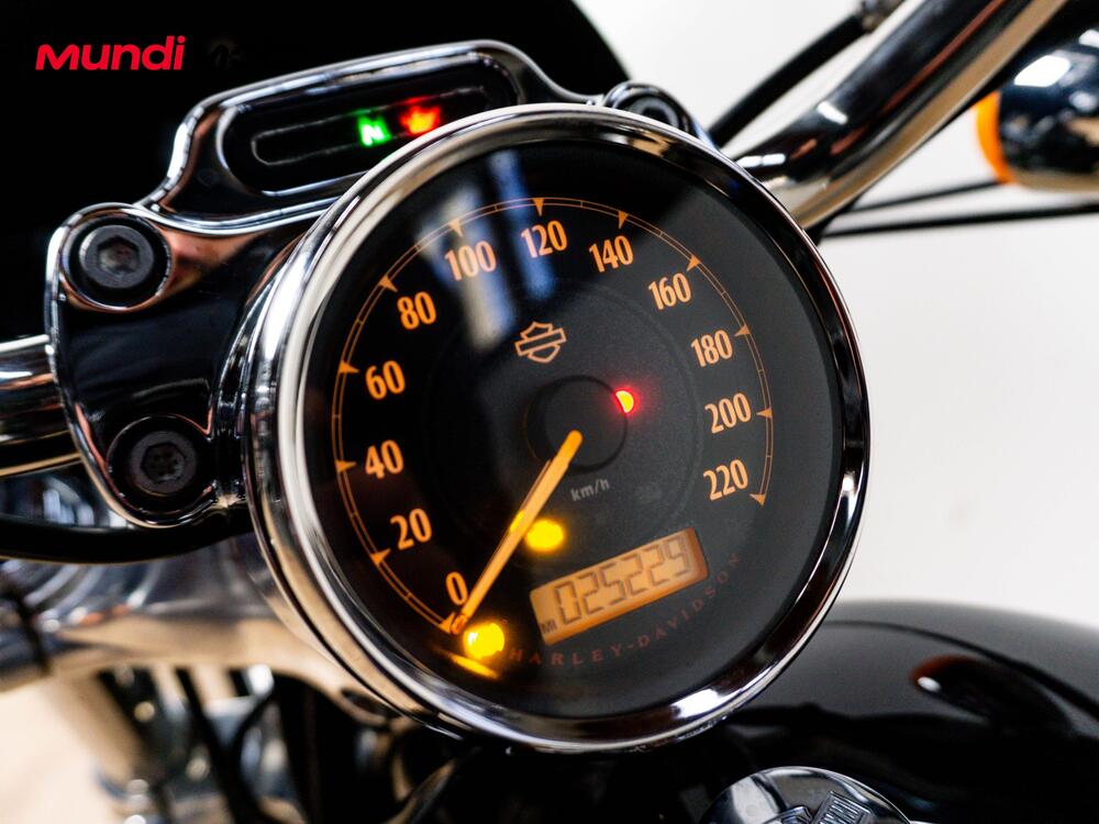 Harley-Davidson XL 1200 CX Roadster (2016 - 18) (12)