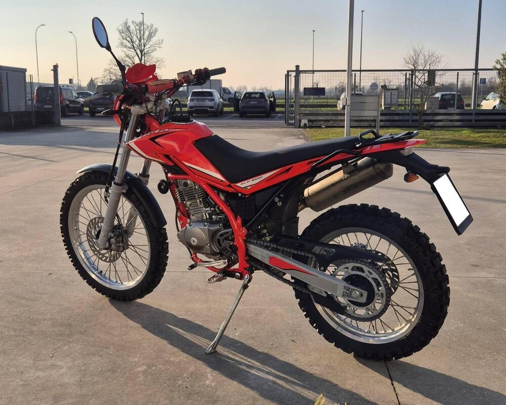 Betamotor Alp 200 (2018 - 20) (3)