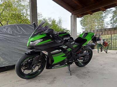 Kawasaki Ninja 300 ABS (2012 - 16) usata