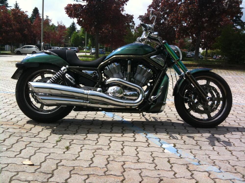 Harley-Davidson 1130 V-Rod (2002 - 05) - VRSCA