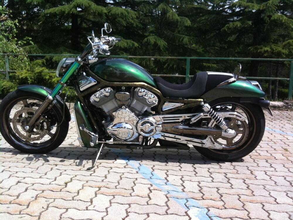 Harley-Davidson 1130 V-Rod (2002 - 05) - VRSCA (2)