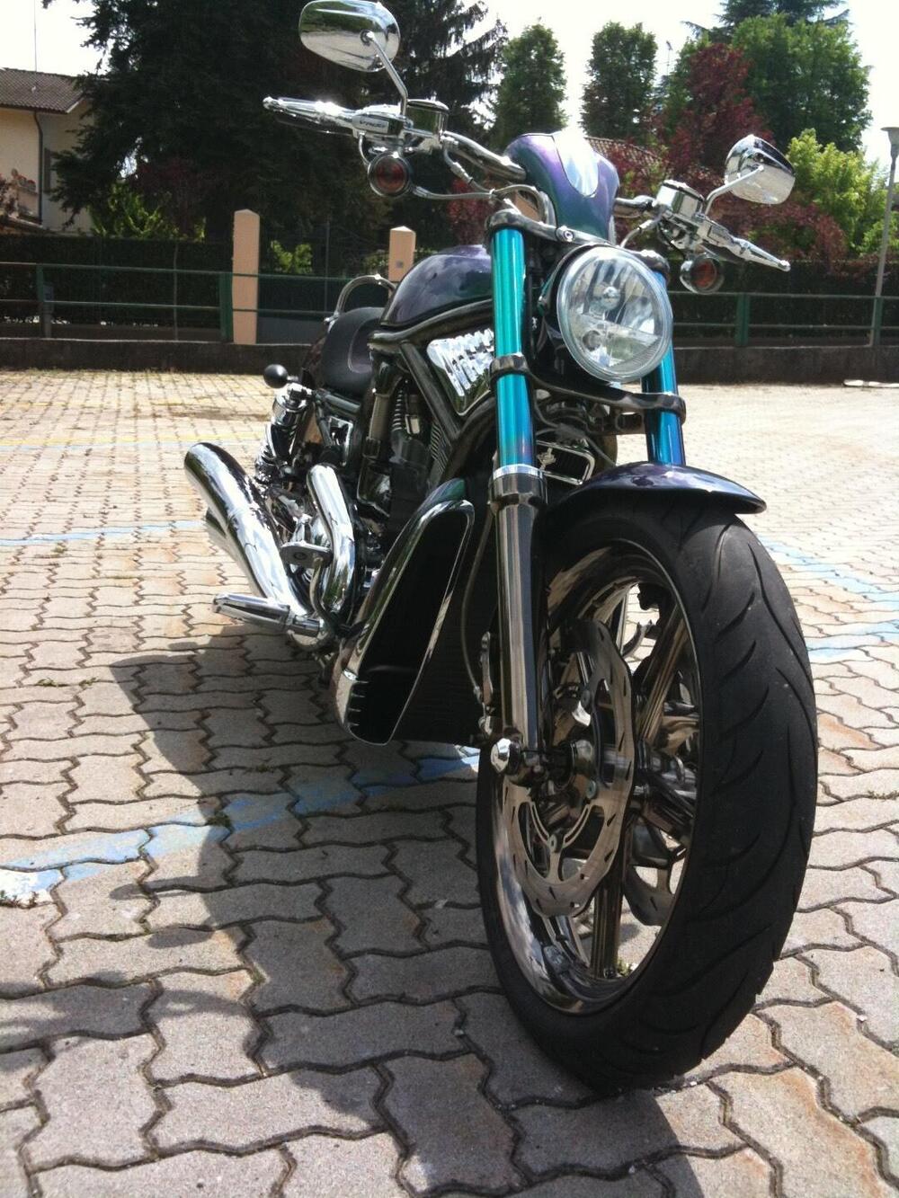 Harley-Davidson 1130 V-Rod (2002 - 05) - VRSCA (4)