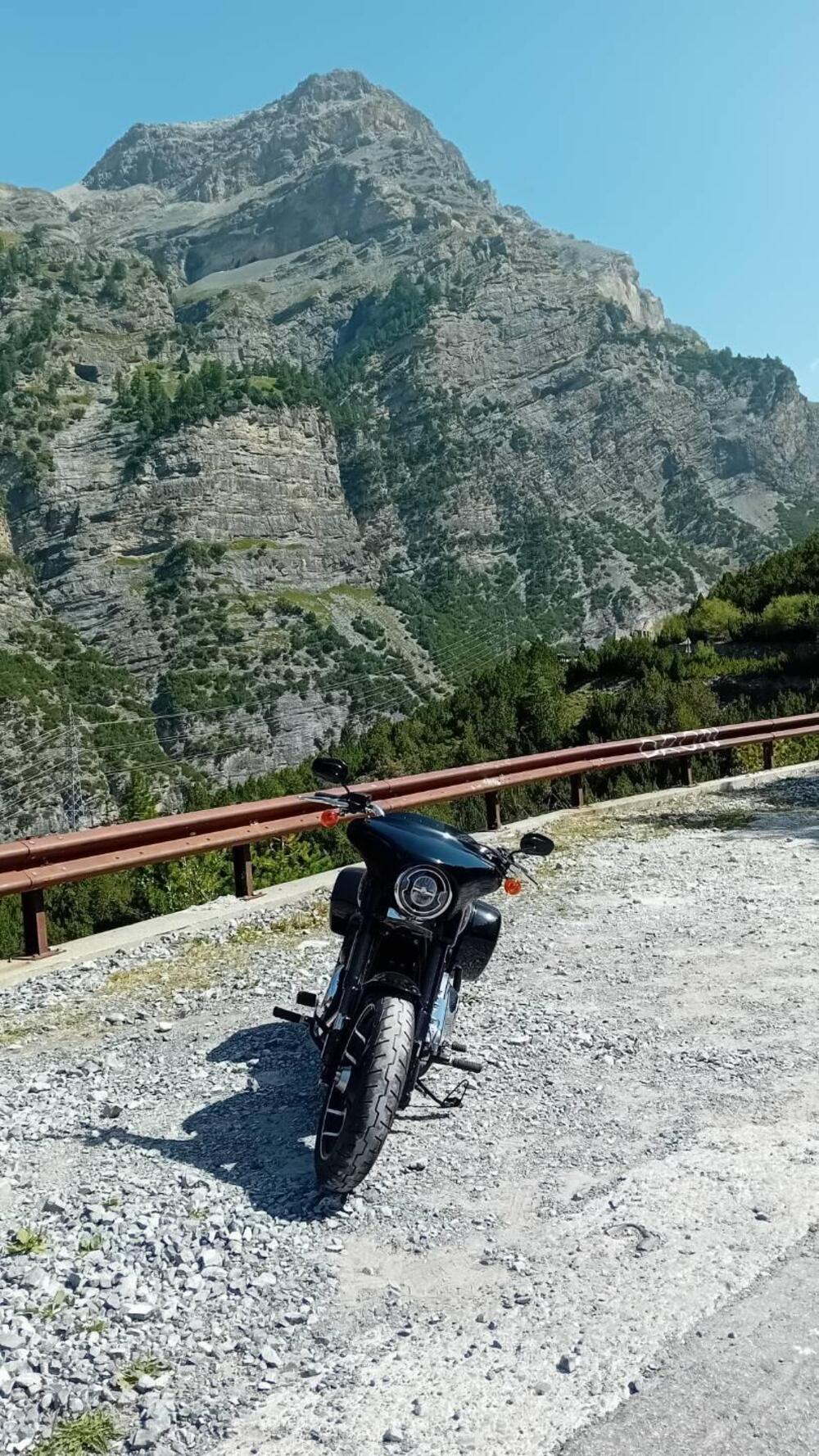 Harley-Davidson Sport Glide (2021 - 25) (3)