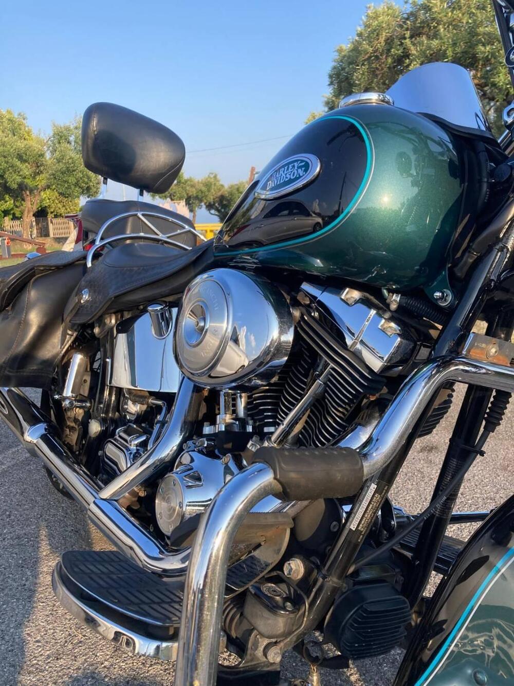 Harley-Davidson 1450 Heritage Springer (2000 - 03) - FLSTS (6)