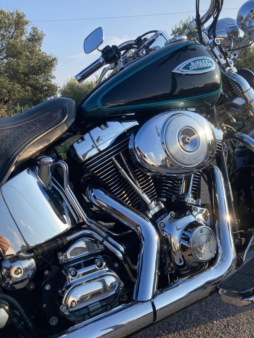 Harley-Davidson 1450 Heritage Springer (2000 - 03) - FLSTS (3)