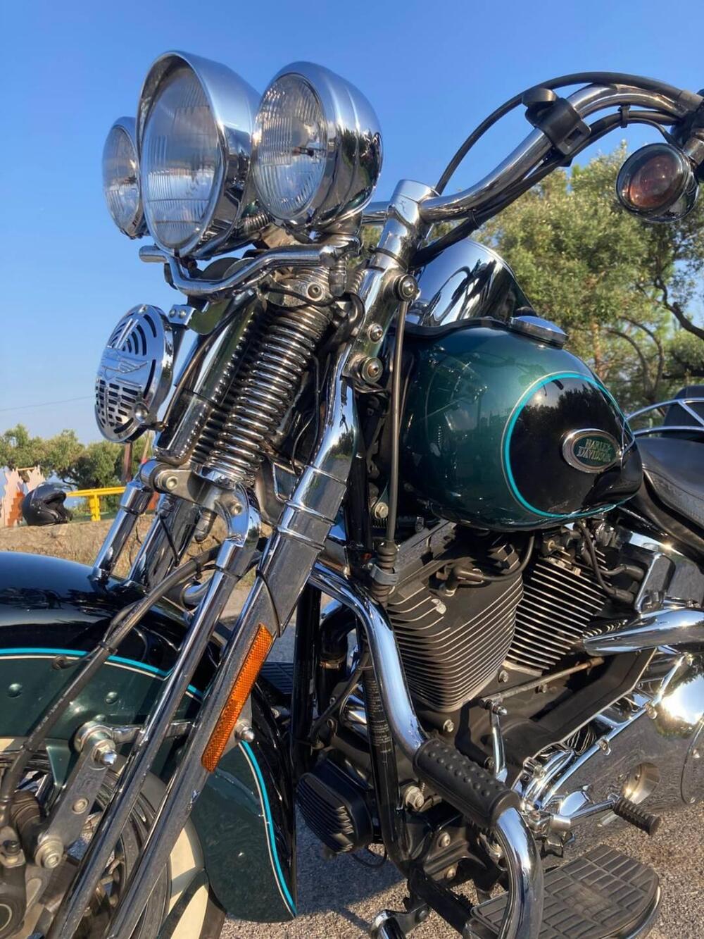 Harley-Davidson 1450 Heritage Springer (2000 - 03) - FLSTS (10)