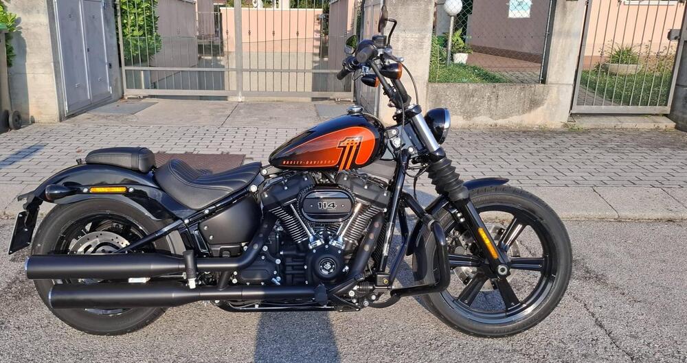 Harley-Davidson Street Bob 114 (2021 - 24)