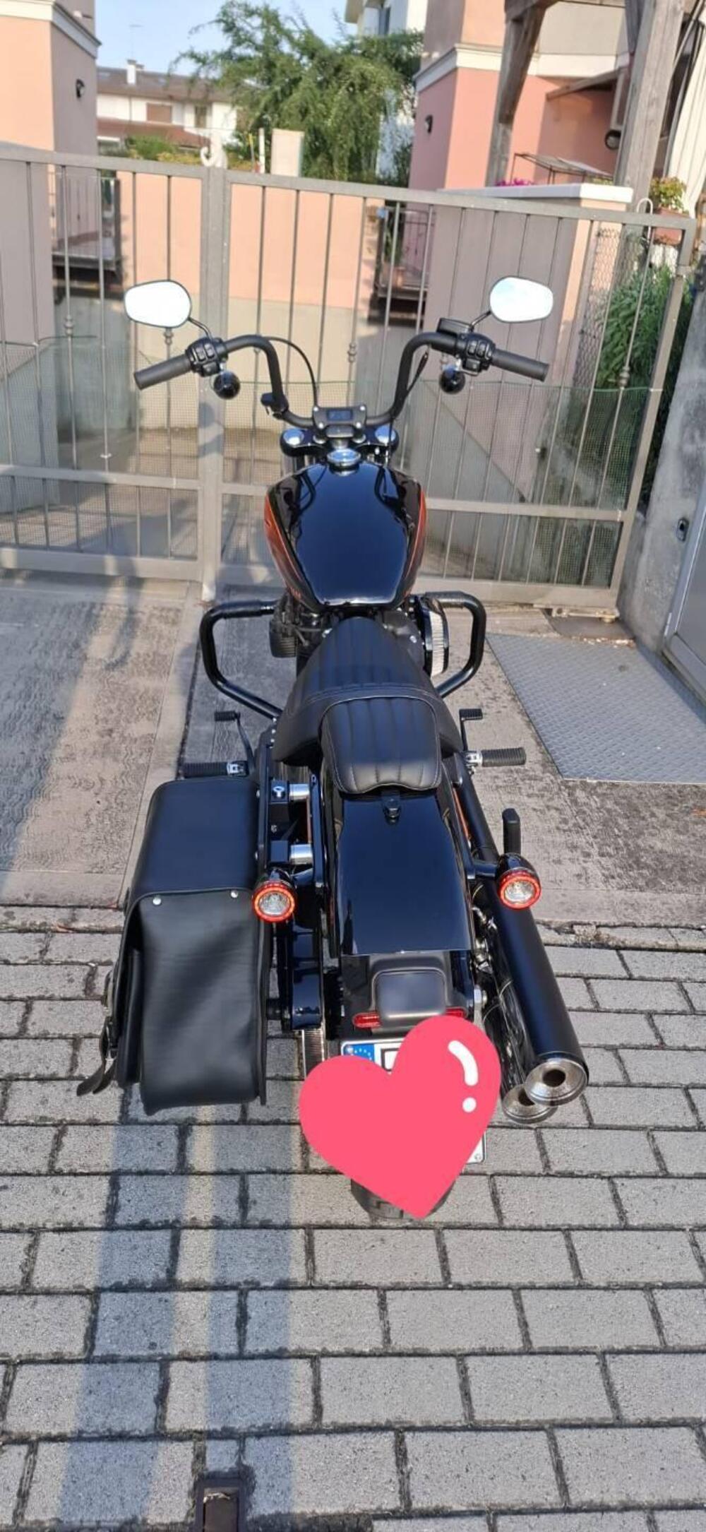 Harley-Davidson Street Bob 114 (2021 - 24) (2)