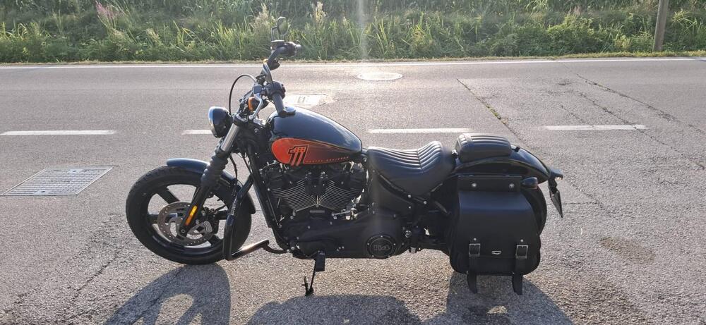 Harley-Davidson Street Bob 114 (2021 - 24) (4)