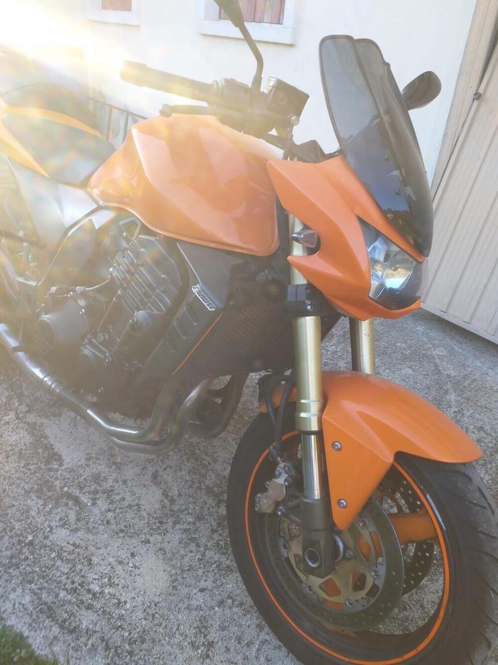 Kawasaki Z 1000 (2003 - 06) (4)